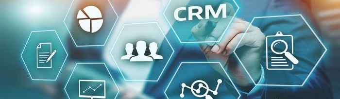Crm business development