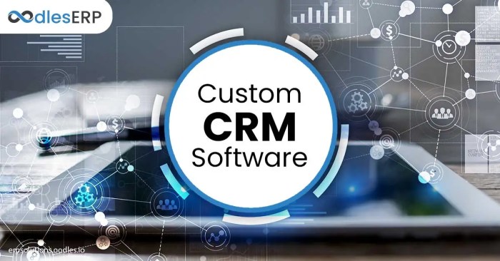 Custom crm software