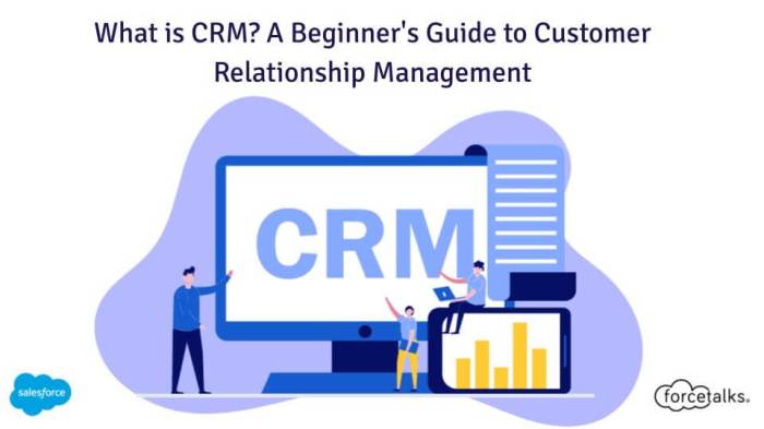 Crm definitions Crm like salesforce